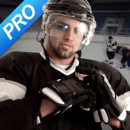 Icon Hockey Fight Pro