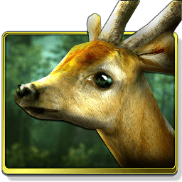 Icon Forest HD