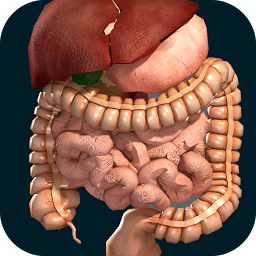Иконка Inneren Organe 3D (Anatomie)