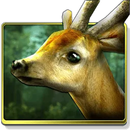 Icon Forest HD