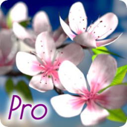 Icon Spring Flowers 3D Parallax