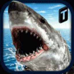 Icon Crazy Shark 3D Sim