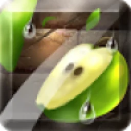 Icon Fruit Slice