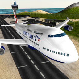 Icon Flight Simulator Airplane 3D