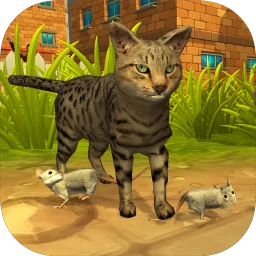 Icon Catty Cat Universe
